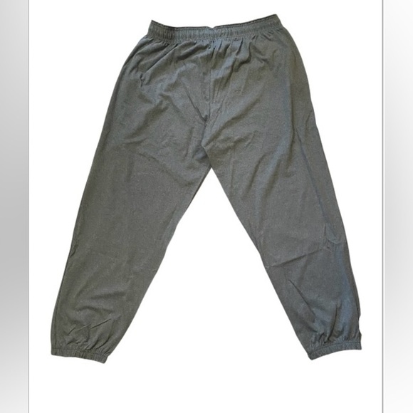 Champion Men’s Charcoal Lounge Athletic Sweatpants elastic waist drawstring 2XL - Picture 2 of 9